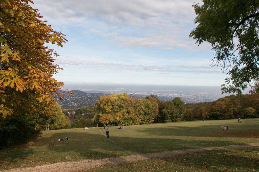 3Hour Outdoor Budapest Normafa Hike&History With a Historian - Key points to know before booking