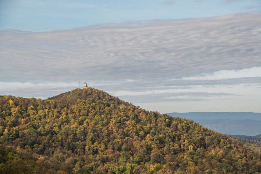 3Hour Outdoor Budapest Normafa Hike&History With a Historian - Why Normafa makes a good Budapest break