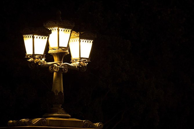 Bright Lights of Budapest Night Tour with Boat Cruise and Wine - What the guide adds to the evening