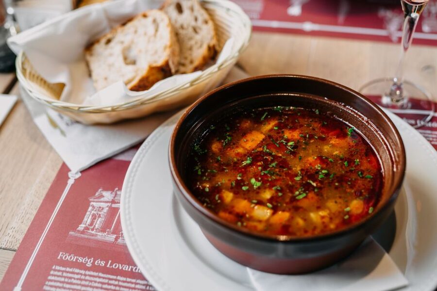 Buda Castle: Hungarian Delicacies & Historical Exhibition - Who should book this experience