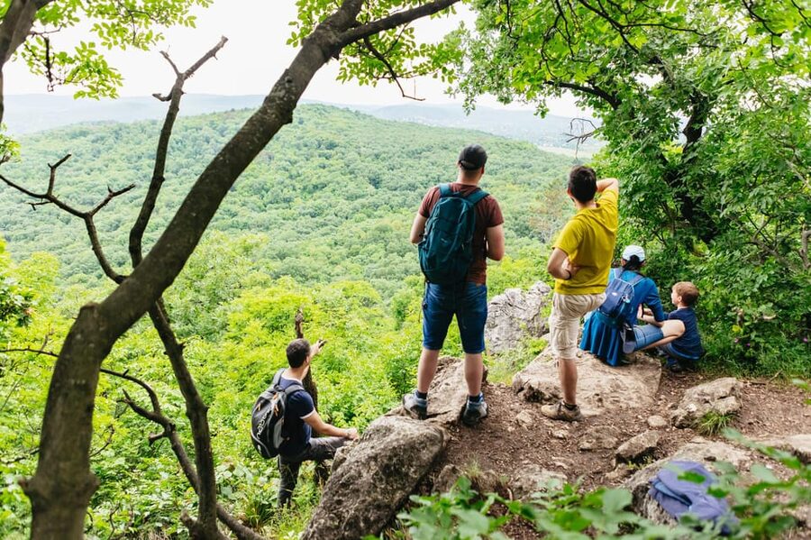Budapest: Buda Hills Guided Hiking Tour with Optional Lunch - Why the Buda Hills make a good city break
