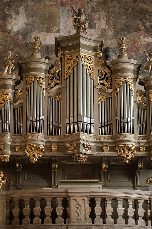 Budapest: Concert on the Oldest Working Organ in the City - Is $24 a fair price?