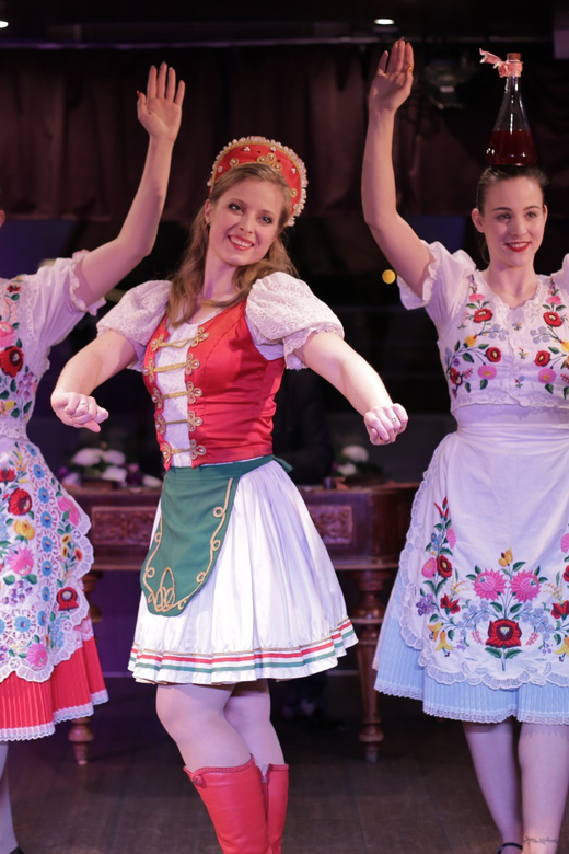 Budapest: Danube Cruise with Folk Dancing and Drinks - Chain Bridge and Buda Castle from the river
