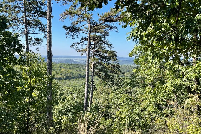 Budapest Hike - Who should book this four-hour outing?