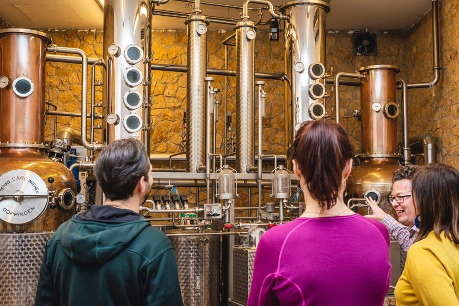 Budapest: Hungarian Whisky, Gin, and Pálinka Tasting - Pálinka Takes Center Stage Near Budapest