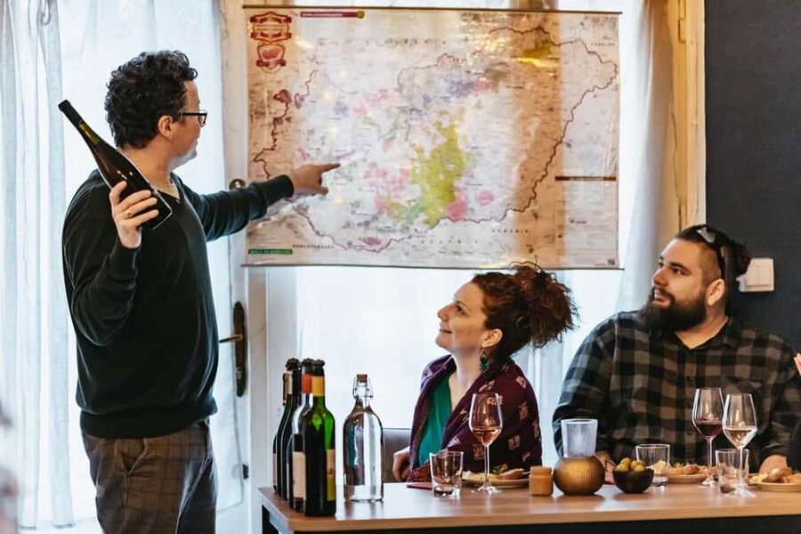 Budapest: Hungarian Wine Tasting with 7 Wines and Tapas - Tapas that make the tasting feel substantial