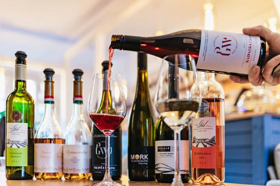 Budapest: Hungarian Wine Tasting with 7 Wines and Tapas - A relaxed lesson instead of a formal wine course
