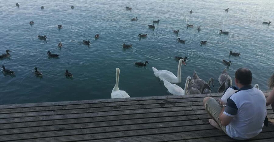 Budapest: Lake Balaton & Herend Porcelain Private Day Tour - Why combine Lake Balaton with Herend?