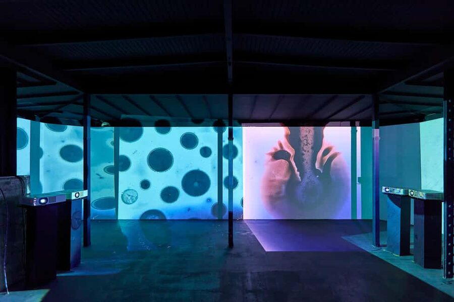 Budapest: Light Art Museum - Immersive New Media Experience - Why Families May Enjoy It