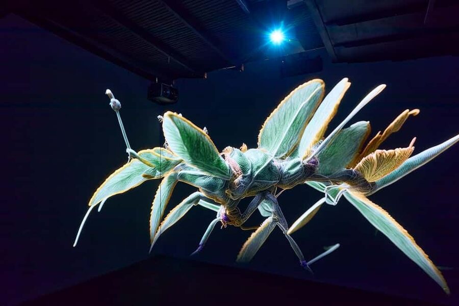 Budapest: Light Art Museum - Immersive New Media Experience - Practical Tips for a Better Visit