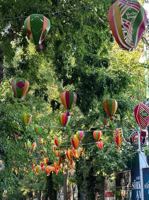 Budapest: Live-Guided Segway Tour to Margaret Island - Japanese Gardens, ruins, and the water tower