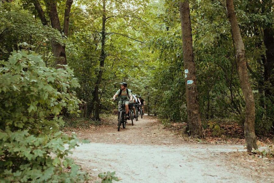 Budapest Peaks: Off-Road eBike Tour - Károly Guckler Lookout and Látó-hegy keep the views coming