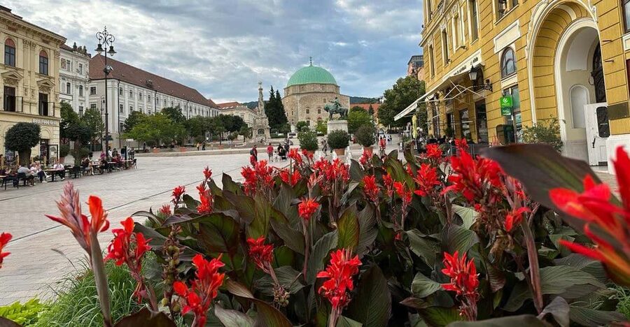Budapest: Private Walking Tour with a Local Guide - Crossing Chain Bridge into Buda