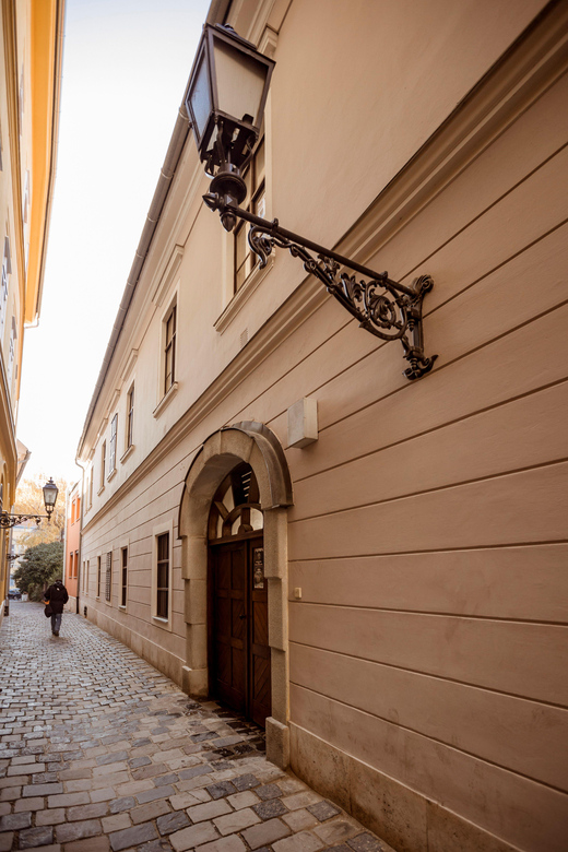 Budapest: The WWII Siege of Buda Castle & Bomb Shelter Tour - Starting at Dísz Square and walking Úri Street