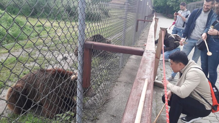 Budapest: Transport & Guided Tour of Bear and Wolf Sanctuary - Bears, wolves, and the other residents