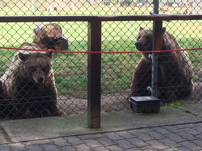 Budapest: Transport & Guided Tour of Bear and Wolf Sanctuary - Why the guide makes a difference
