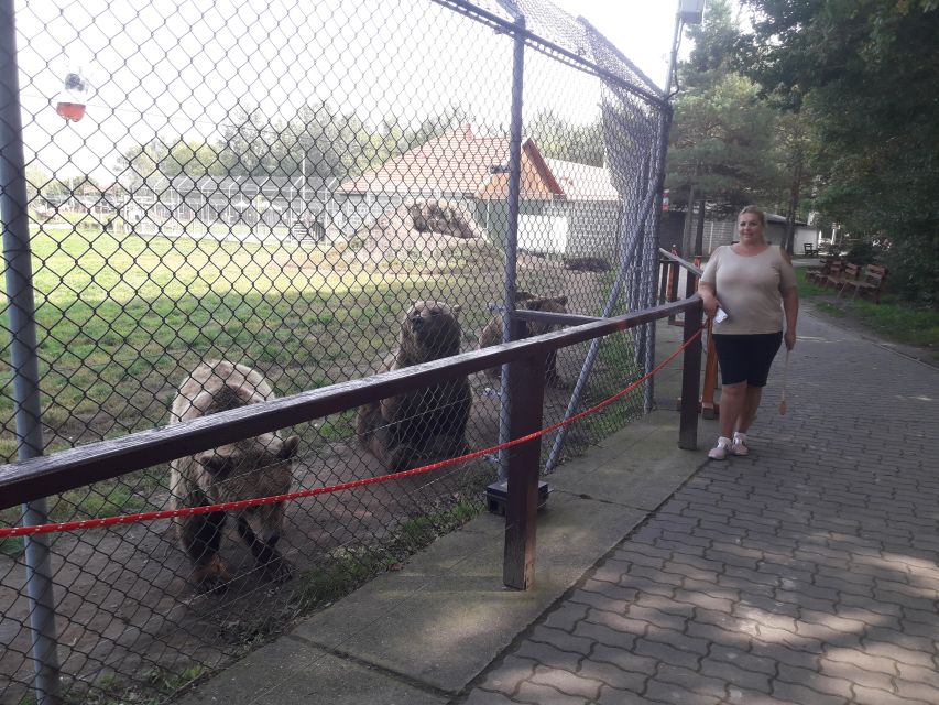 Budapest: Transport & Guided Tour of Bear and Wolf Sanctuary - Should you book the Bear and Wolf Sanctuary tour?