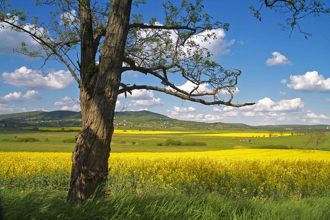 Budapest-Vienna One-Way Sightseeing Transfer - Bratislava Old Town in one focused hour