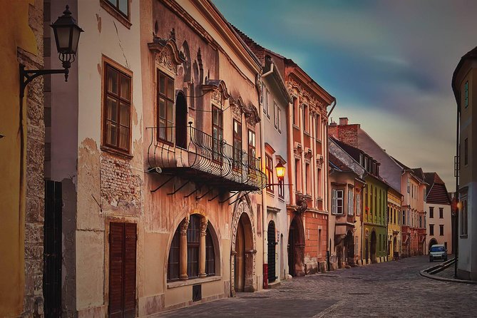 Budapest-Vienna One-Way Sightseeing Transfer - What the vehicle and guide change