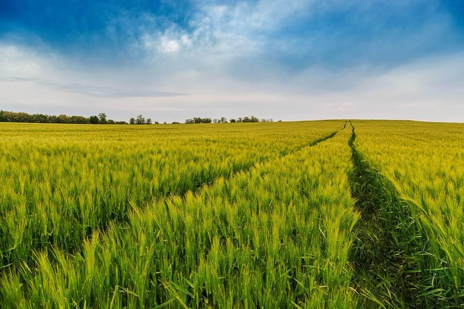 Budapest-Vienna One-Way Sightseeing Transfer - Booking details worth checking