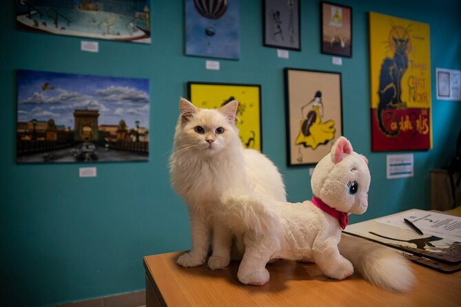 Cat Museum Budapest Entry Ticket - Starting Downstairs With Cats in Art