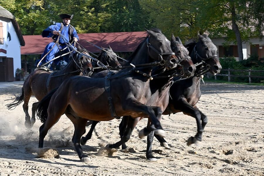 Countryside ranch, horse show & lunch - Leaving Budapest for the Great Plain