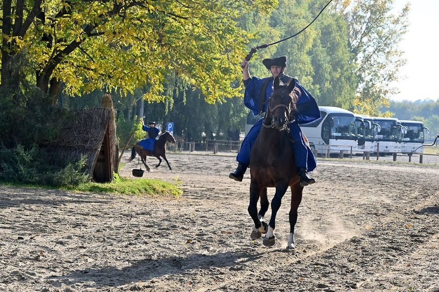 Countryside ranch, horse show & lunch - Goulash, strudel, and a shot of palinka