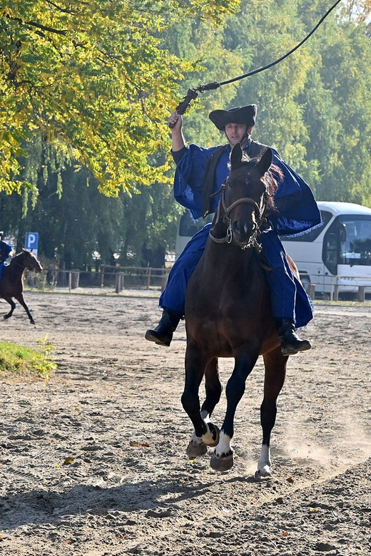 Countryside ranch, horse show & lunch - Who will enjoy this ranch outing?