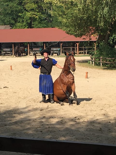 Countryside ranch, horse show & lunch - Booking and meeting details