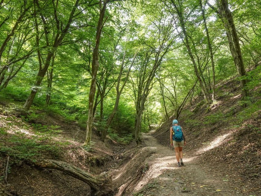 Danube Bend Hiking and Kayaking Adventure - Leaving Budapest for the Danube Bend