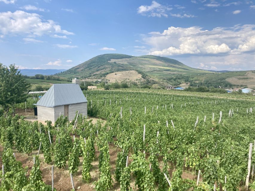 Eger: Countryside, Culture, and Wine Private Tour - Who should book this Eger day trip