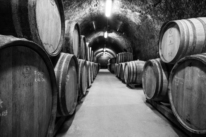 Eger Private Full-Day Wine Tasting Tour and Sightseeing from Budapest - What the private vehicle changes