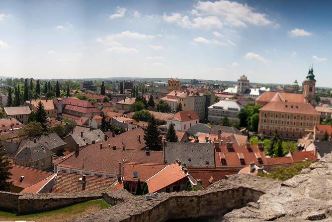 Eger Private Full-Day Wine Tasting Tour and Sightseeing from Budapest - Food, pace, and practical comfort