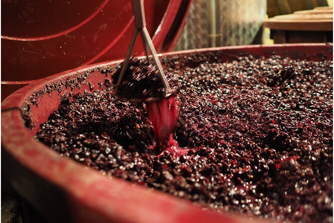 Etyek Private Half-Day Wine Tasting Tour from Budapest - What you actually learn about Hungarian wine