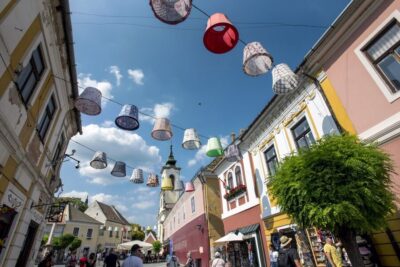 Danube Bend Day Trip in English