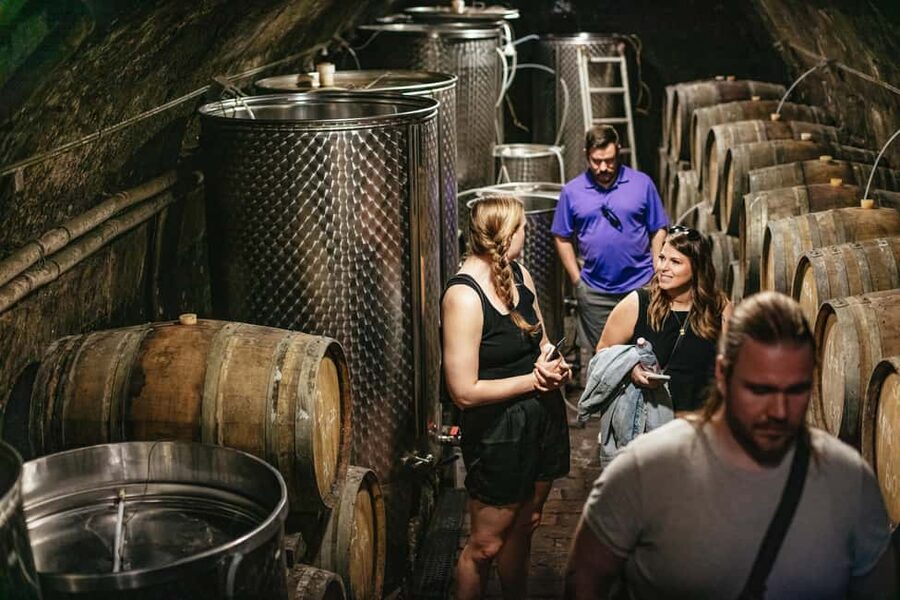 From Budapest: Etyek Wine Tasting Tour with 3-Course Meal - The best part is the human scale