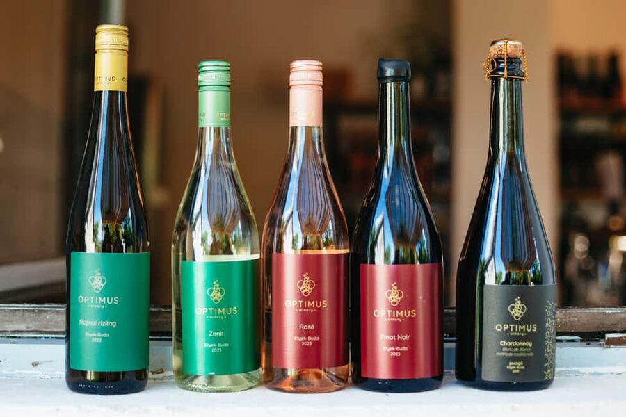 From Budapest: Etyek Wine Tasting Tour with 3-Course Meal - Second cellar: wine followed by a farm-style meal