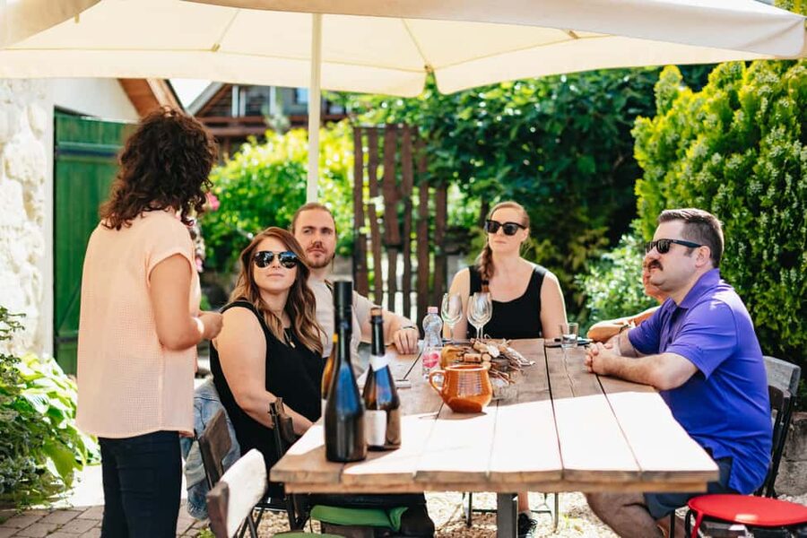 From Budapest: Etyek Wine Tasting Tour with 3-Course Meal - Pickup from central Budapest