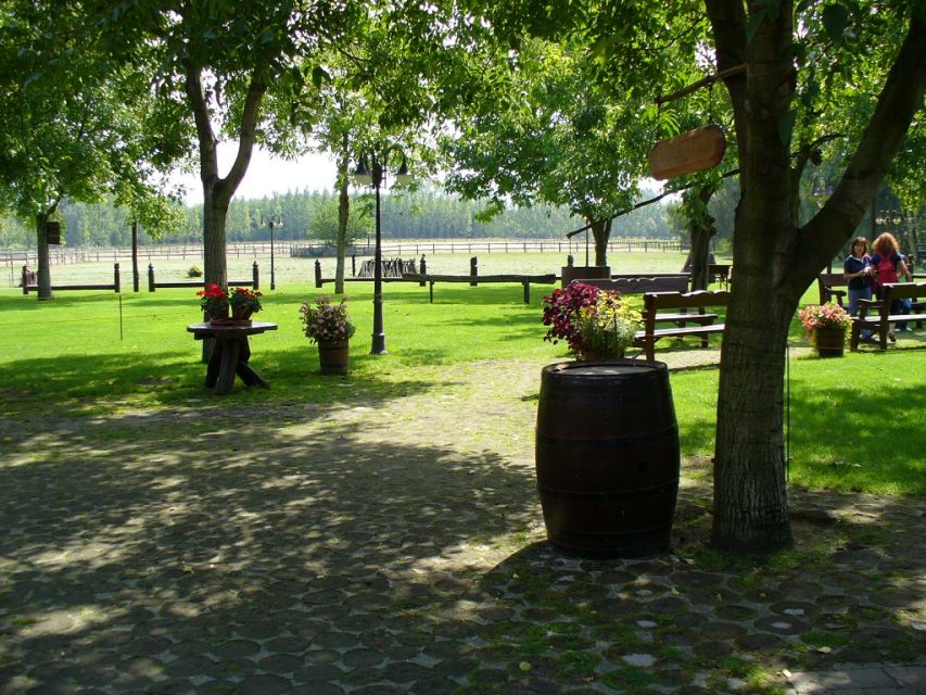 From Budapest: Full-Day Puszta Tour with Lunch and Show - Kecskemét gives the day historical context