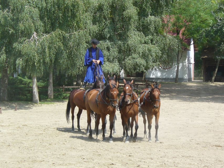 From Budapest: Full-Day Puszta Tour with Lunch and Show - The traditional horse show