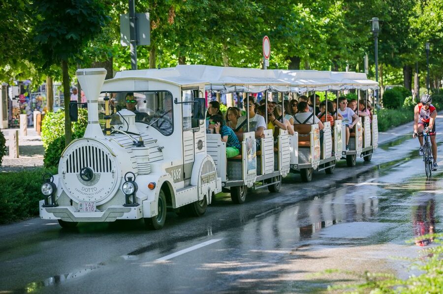 From Budapest: Lake Balaton Day Tour - Who will enjoy this day trip most