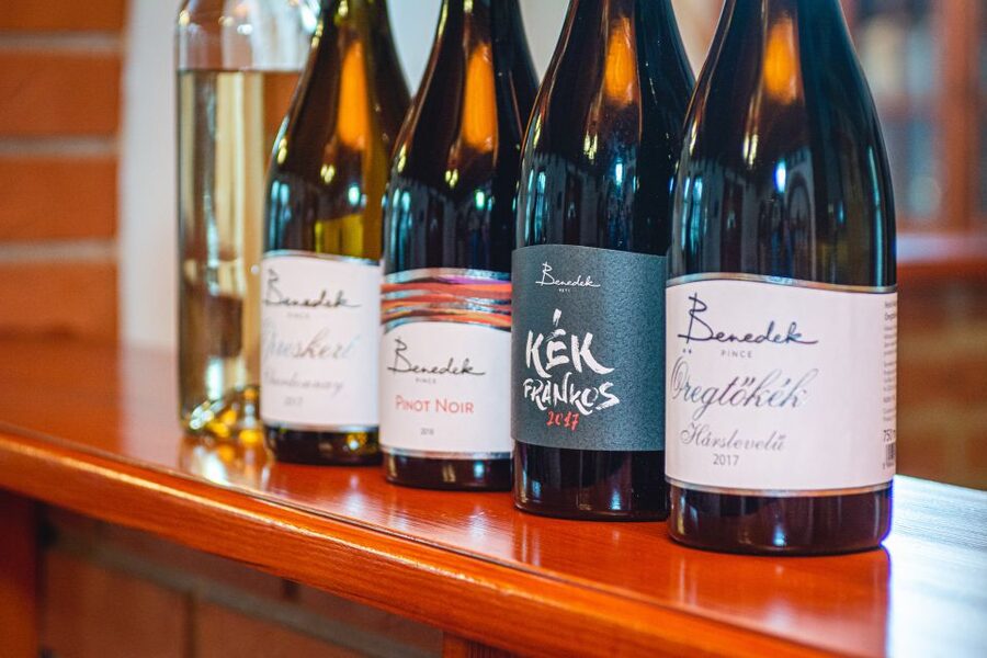 From Budapest: Mátra Hills Wine Tour - First winery: four wines and a closer look at local work