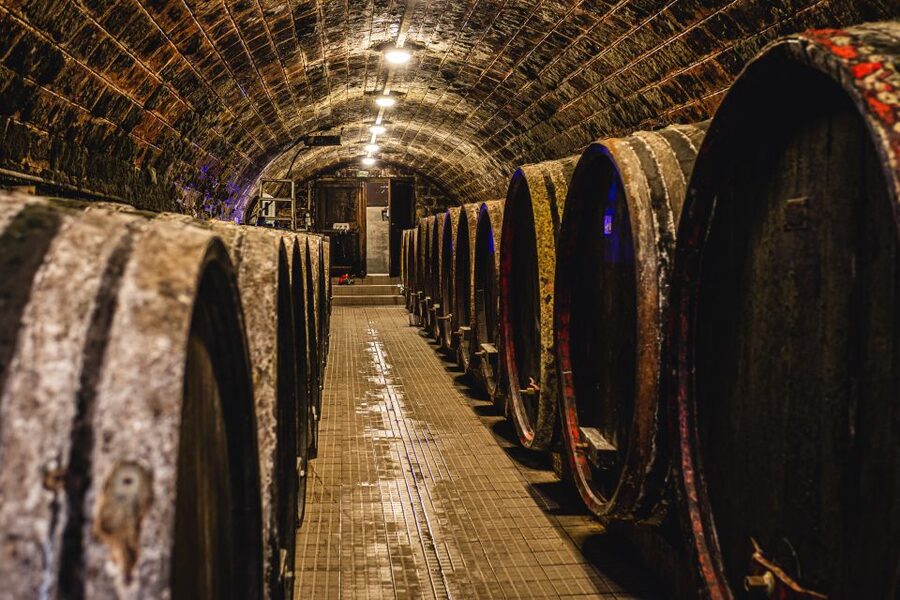 From Budapest: Mátra Hills Wine Tour - What eight tastings really means
