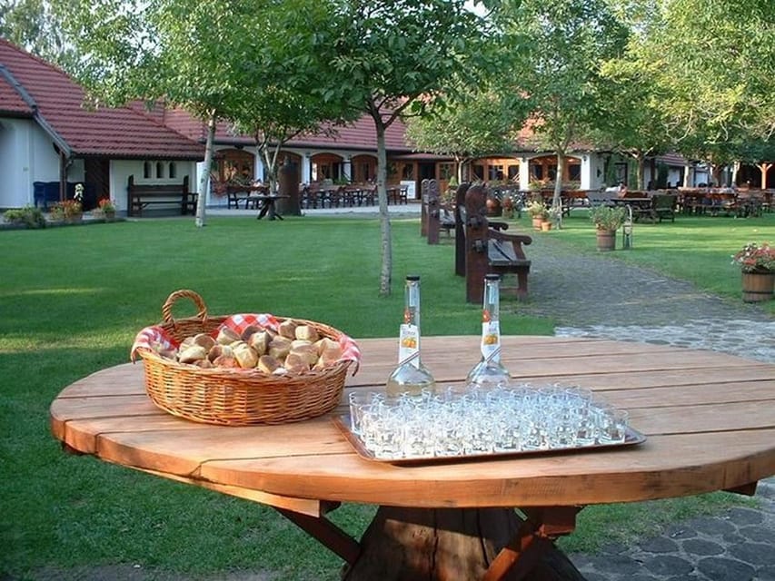 From Budapest: Puszta Horse Show and Countryside Visit - Why the horse show earns top billing