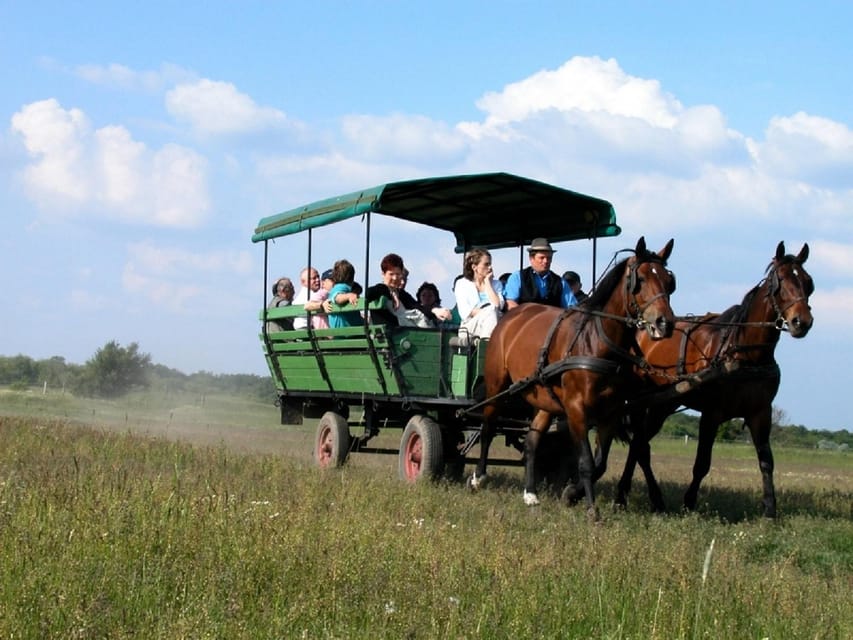 From Budapest: Puszta Horse Show and Countryside Visit - What the schedule feels like in real time