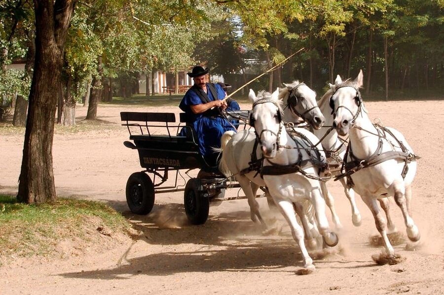 From Budapest: Puszta Horse Show and Countryside Visit - Book it for the contrast, not just the horses