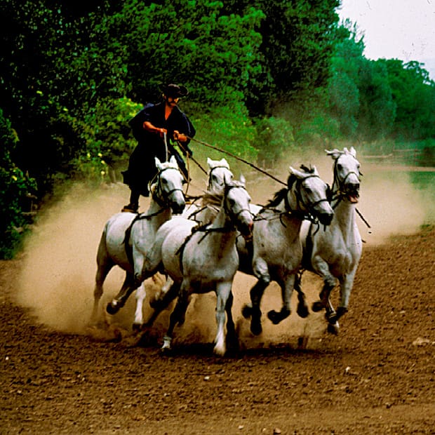From Budapest: Puszta Horse Show and Countryside Visit - Kecskemét: a short look at a Hungarian town