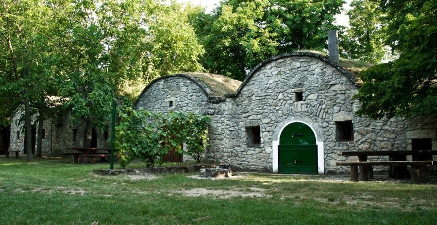 From Budpaest: Páty Wine Village Tour with Tastings - A three-hour pace with room for conversation