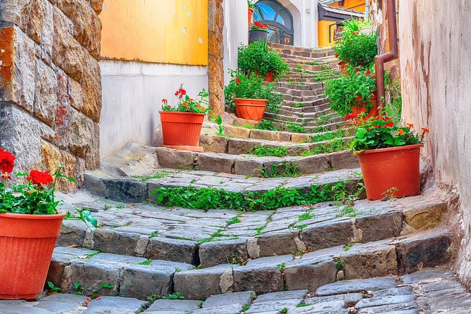 Godollo Sisi Castle and Szentendre Full-Day Private Tour from Budapest - Taking a pause in the palace gardens