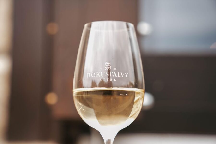 Guided wine tasting at Rókusfalvy Estate - Key points at a glance